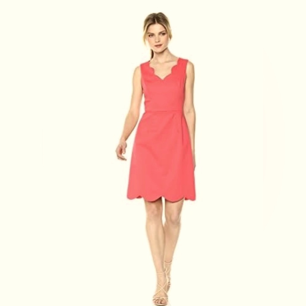 $129 Adrianna Papell Women's 6 Elsa Cotton Nylon Scalloped A-line Dress